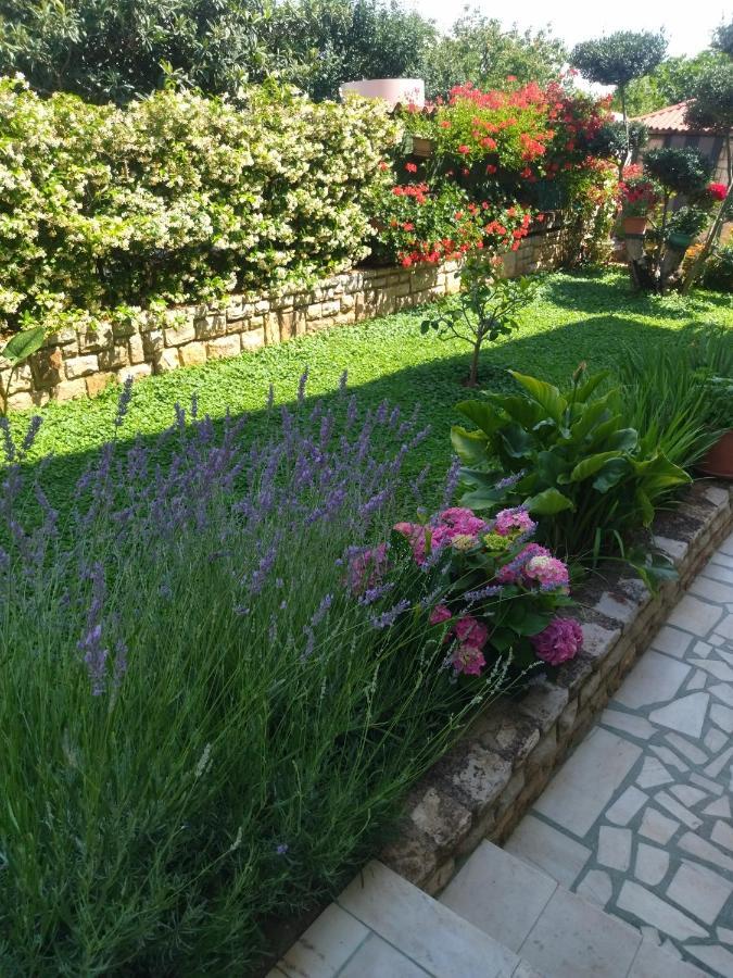 Zelena Oaza Apartment Novigrad Istria Eksteriør bilde