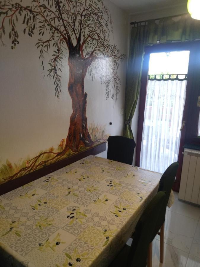 Zelena Oaza Apartment Novigrad Istria Eksteriør bilde