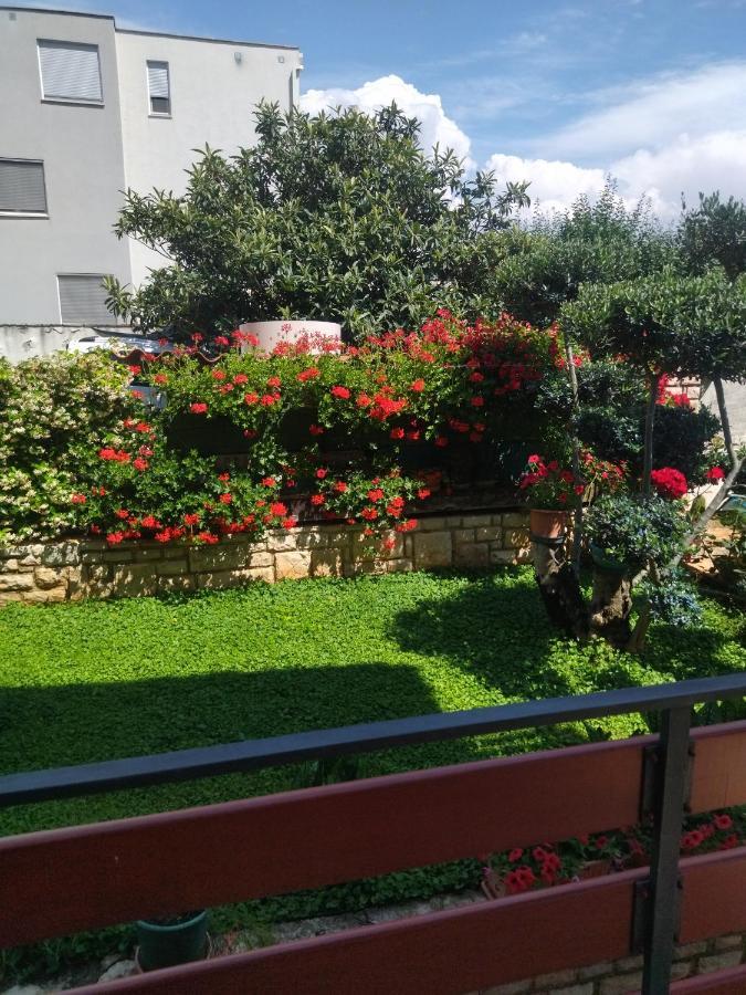 Zelena Oaza Apartment Novigrad Istria Eksteriør bilde