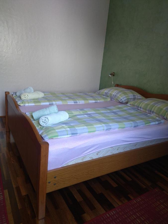 Zelena Oaza Apartment Novigrad Istria Eksteriør bilde