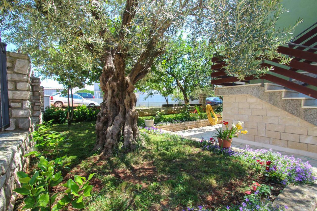 Zelena Oaza Apartment Novigrad Istria Eksteriør bilde