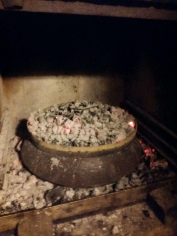 Zelena Oaza Apartment Novigrad Istria Eksteriør bilde