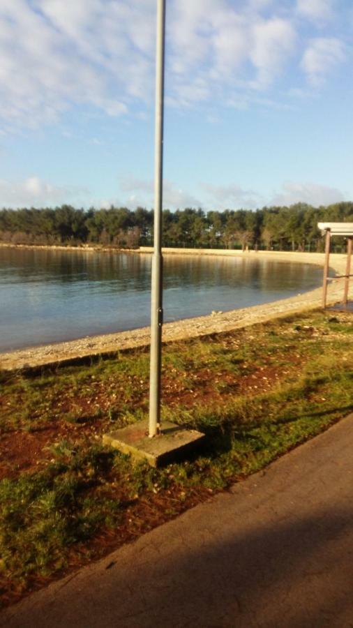 Zelena Oaza Apartment Novigrad Istria Eksteriør bilde